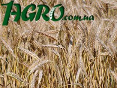 1agro.com.ua