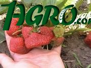 1agro.com.ua