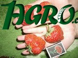 1agro.com.ua