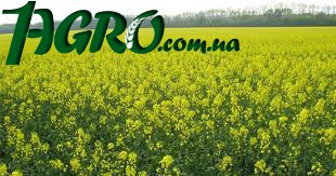 1agro.com.ua