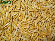 1agro.com.ua