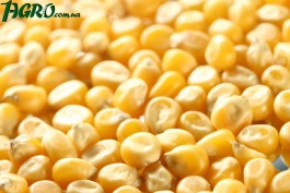 1agro.com.ua