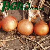 1agro.com.ua