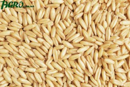 1agro.com.ua