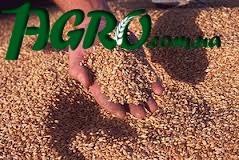 1agro.com.ua