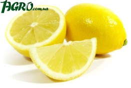 1agro.com.ua
