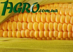 1agro.com.ua