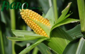 1agro.com.ua