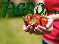 1agro.com.ua
