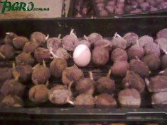 1agro.com.ua