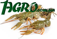 1agro.com.ua