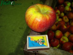 1agro.com.ua