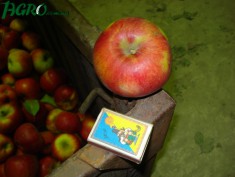 1agro.com.ua
