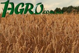 1agro.com.ua