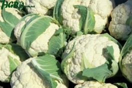 1agro.com.ua