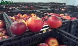 1agro.com.ua