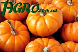 1agro.com.ua