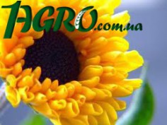 1agro.com.ua