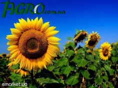 1agro.com.ua
