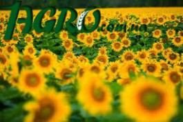 1agro.com.ua