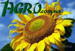 1agro.com.ua