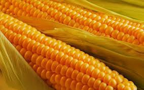 1agro.com.ua