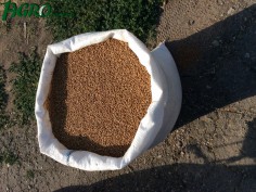1agro.com.ua