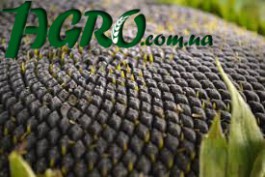 1agro.com.ua
