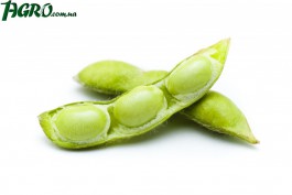 1agro.com.ua
