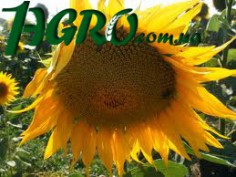 1agro.com.ua