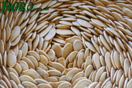 1agro.com.ua