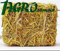 1agro.com.ua