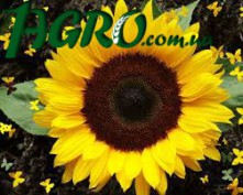 1agro.com.ua