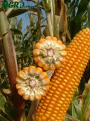 1agro.com.ua