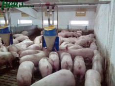 1agro.com.ua