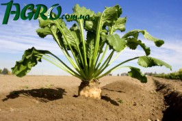 1agro.com.ua