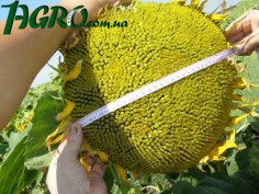 1agro.com.ua