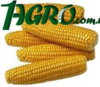 1agro.com.ua