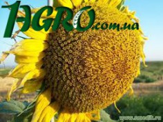 1agro.com.ua