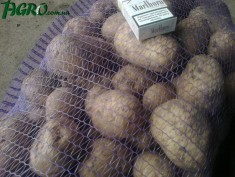 1agro.com.ua