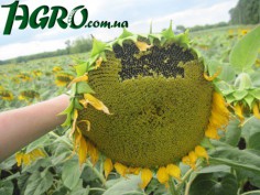 1agro.com.ua