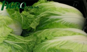 1agro.com.ua