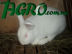 1agro.com.ua