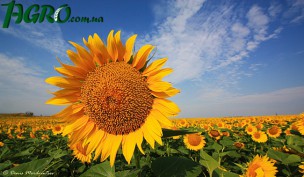 1agro.com.ua