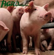 1agro.com.ua