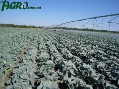 1agro.com.ua