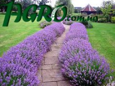 1agro.com.ua