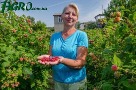 1agro.com.ua
