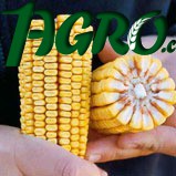 1agro.com.ua