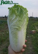 1agro.com.ua